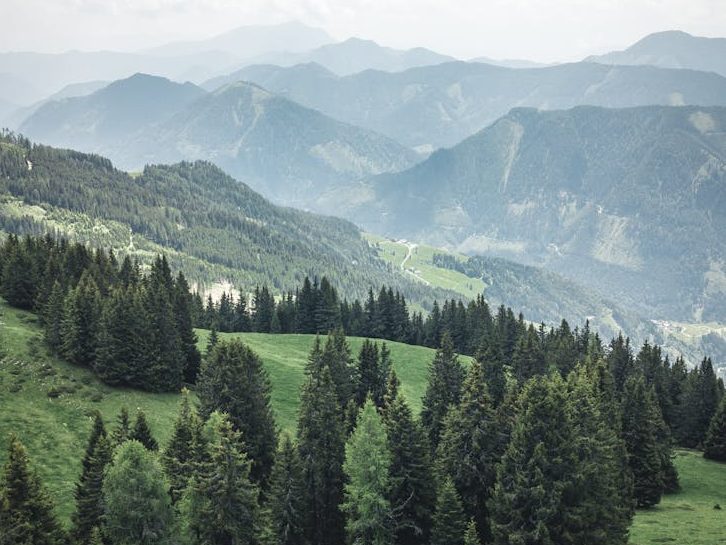 Hügelige Weite und saftig grüne Berge. Der Anblick von Heimat weckt Sehnsucht in mir.